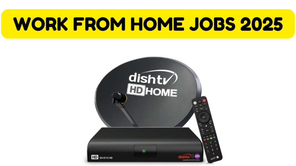Work Home Jobs In DishTV 2025